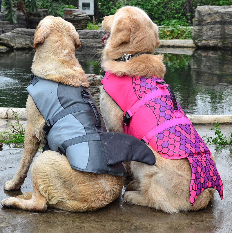 Do Dogs Need Life Jackets? A Water-Safety Guide for Dog Owners