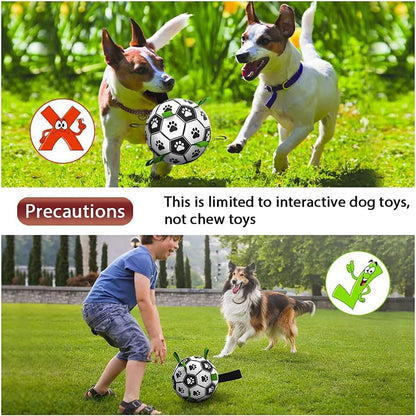 Beldoca™ Pro-Active Dog Football – Durable Soccer Ball
