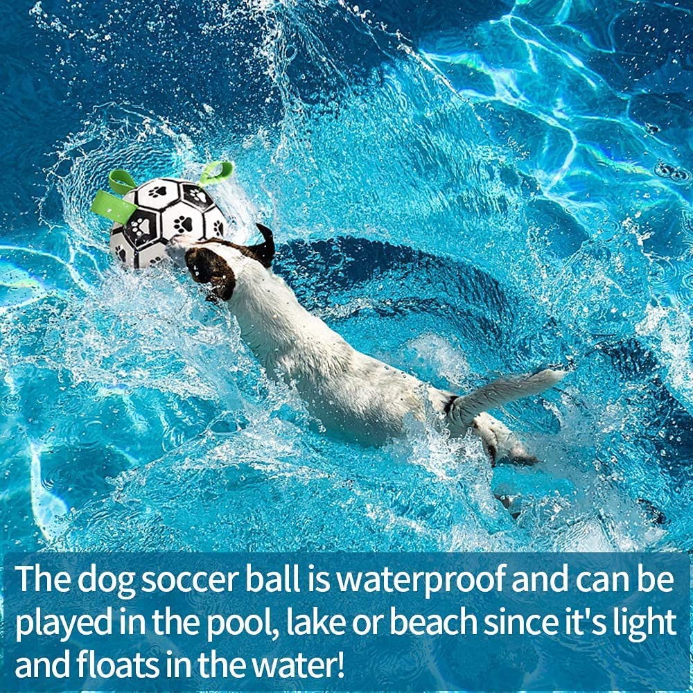 Beldoca™ Pro-Active Dog Football – Durable Soccer Ball