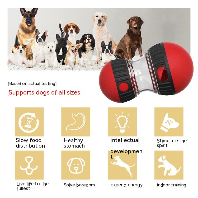 Beldoca™ Interactive IQ Tumbler – Food Dispensing Puzzle Toy & Slow Feeder