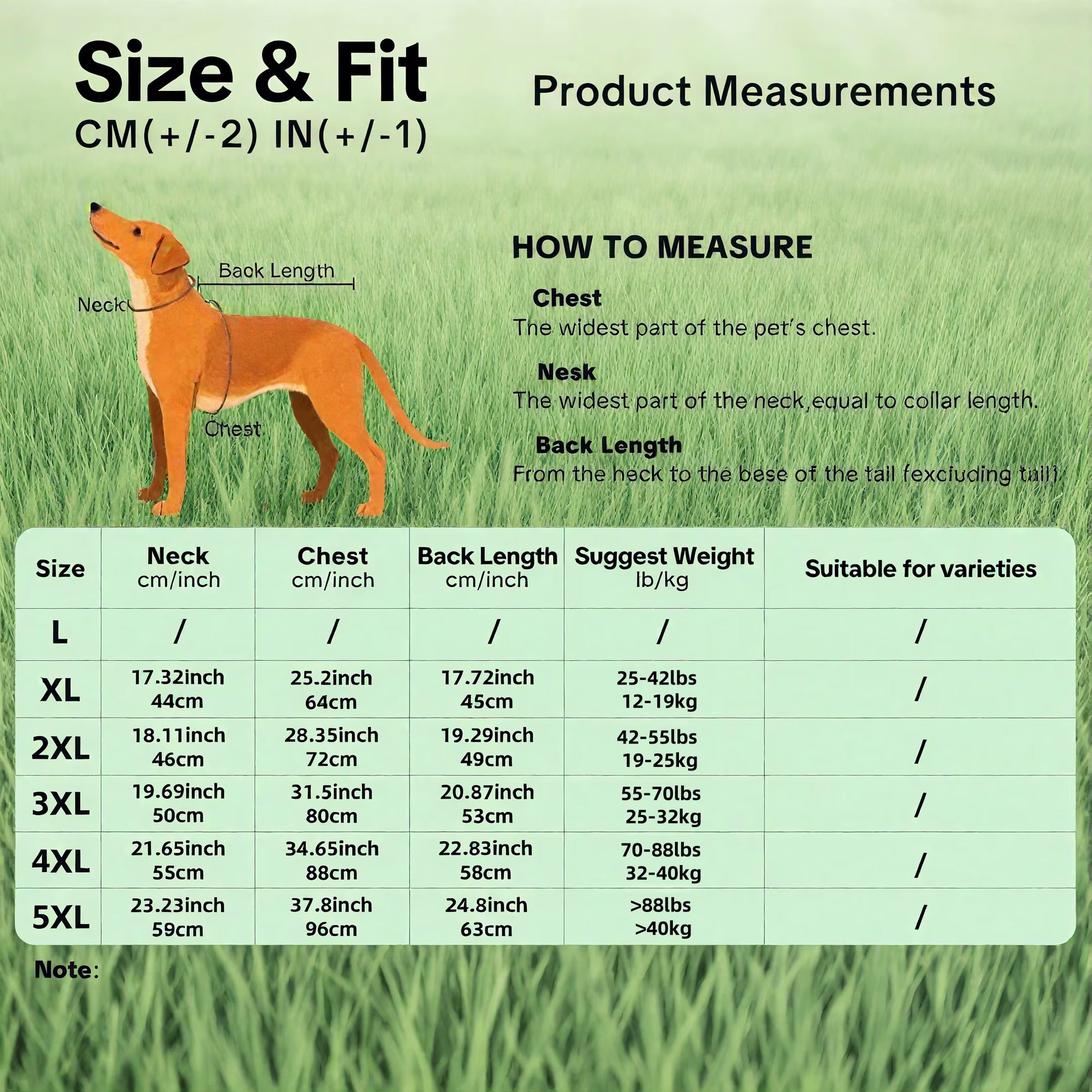 Dog Shirt – Breathable Pet T-Shirt for Medium & Large Dogs XL–5XL