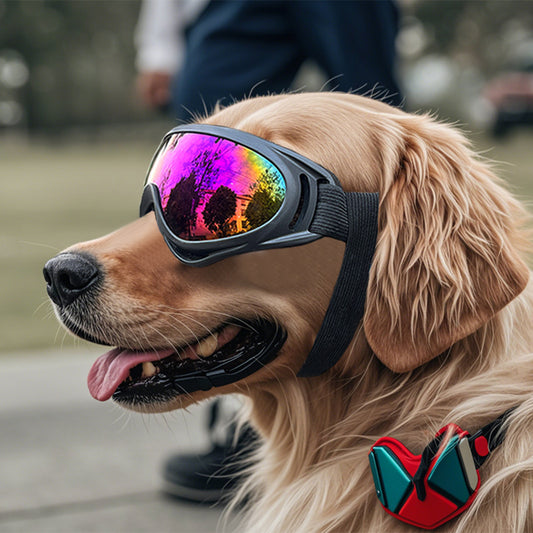 Beldoca™ UV Protection Dog Goggles – Windproof & Waterproof Pet Sunglasses for Car Rides & Outdoor Adventures for Medium Dogs