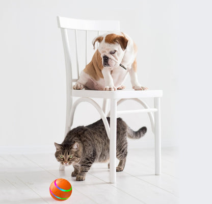 Interactive Self-Rolling Dog Ball - Smart Automatic Pet Toy with USB Charging