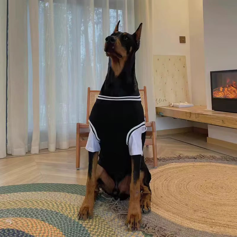 Dog Shirt – Breathable Pet T-Shirt for Medium & Large Dogs XL–5XL