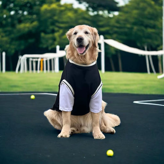 Dog Shirt – Breathable Pet T-Shirt for Medium & Large Dogs XL–5XL